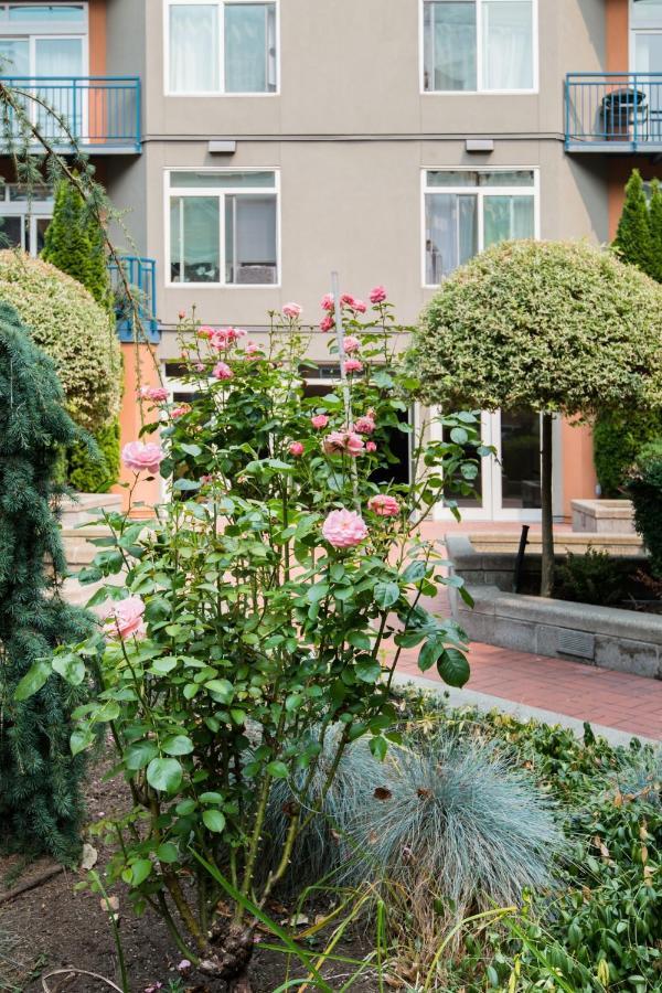 City Water View Oasis With Pool & Gym Near Cruise In Heart Of Seattle Eksteriør bilde